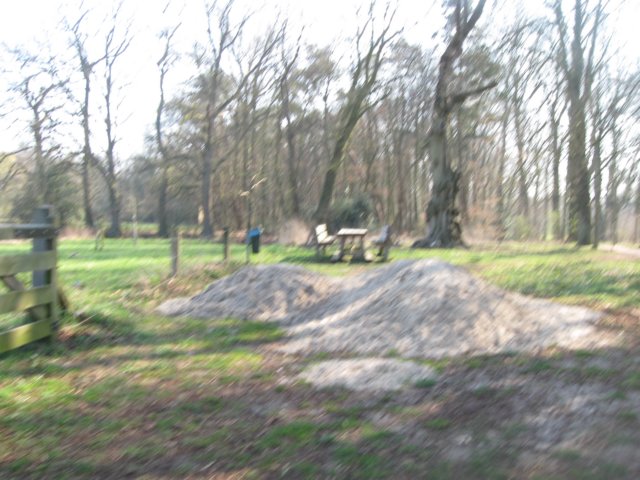img_1356.jpg