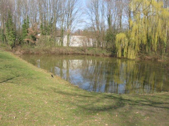 img_1358.jpg