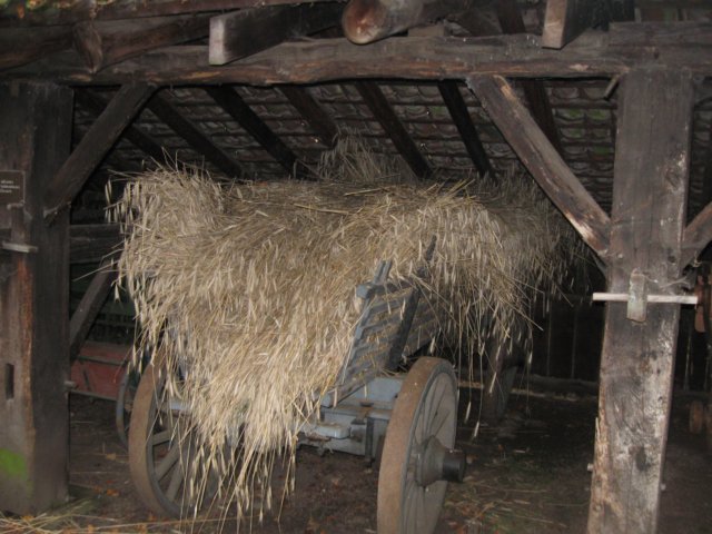 img_5372.jpg