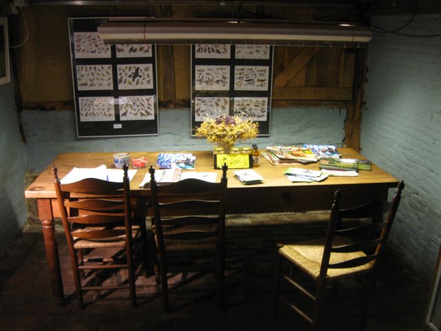 img_5380.jpg