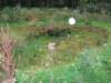 img_5388_small.jpg