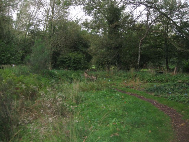 img_5389.jpg