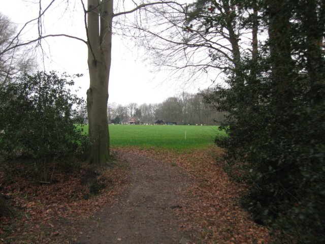 img_6824.jpg