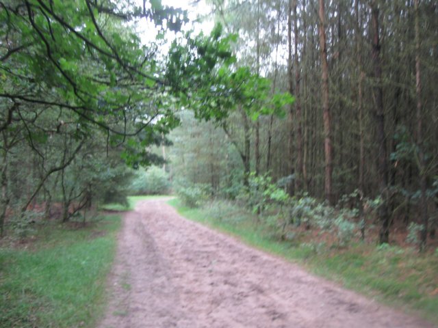 img_2937.jpg