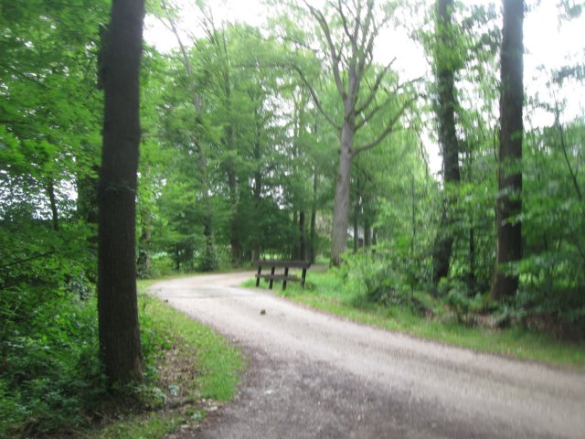 img_2996.jpg