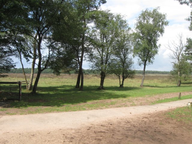 img_3055.jpg