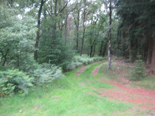 img_3078.jpg
