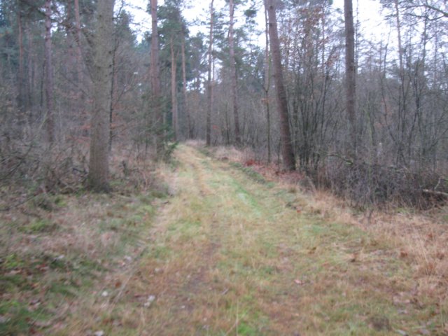 img_6427.jpg