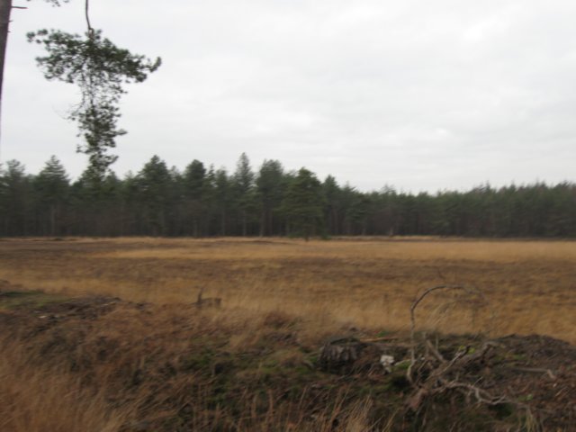 img_6460.jpg