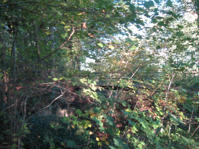img_5681.jpg