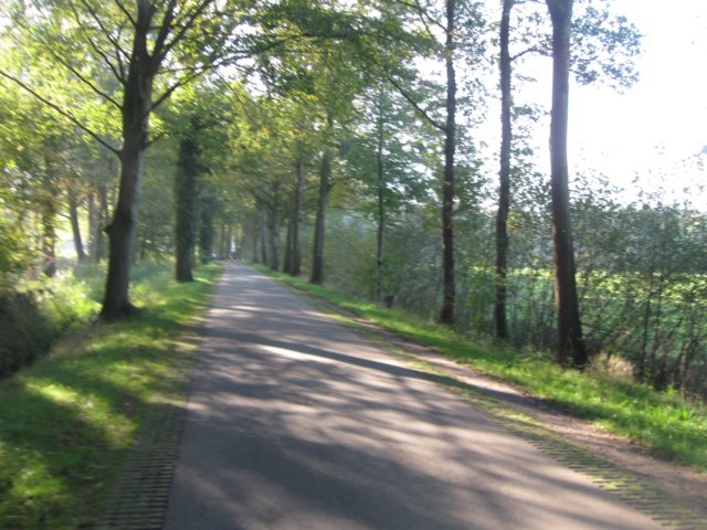img_5694.jpg