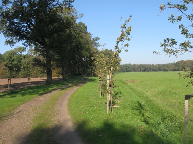 img_5709.jpg