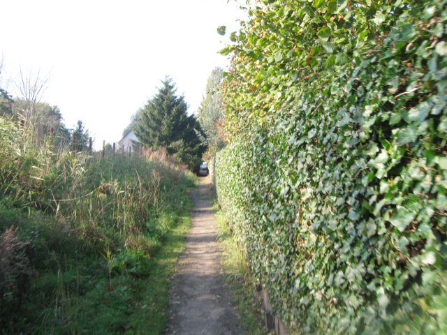 img_5736.jpg