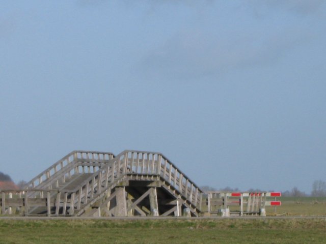 img_0464.jpg