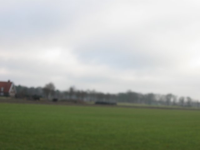 img_9529.jpg