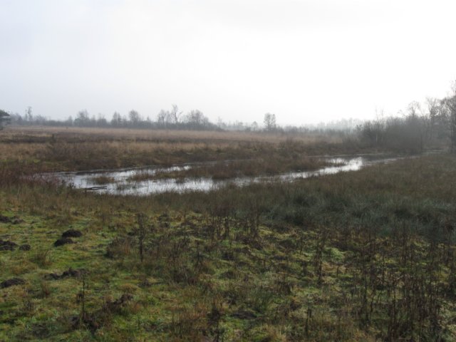 img_9746.jpg