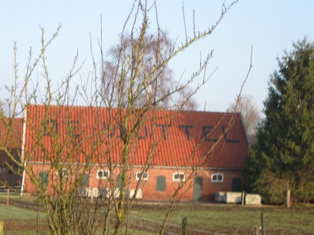 img_9978.jpg