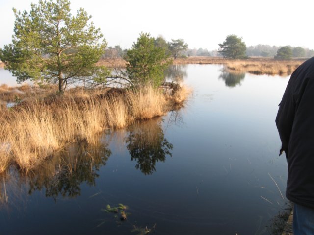 img_9985.jpg