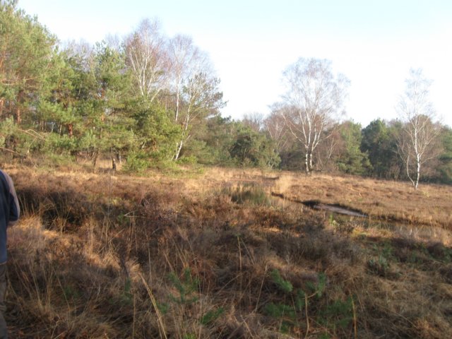 img_9986.jpg