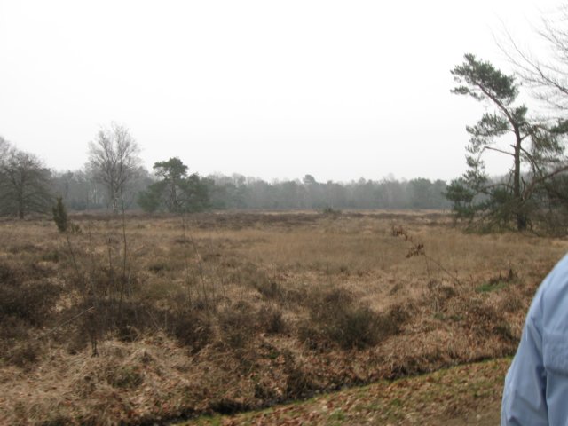 img_0751.jpg