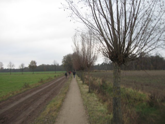 img_6135.jpg