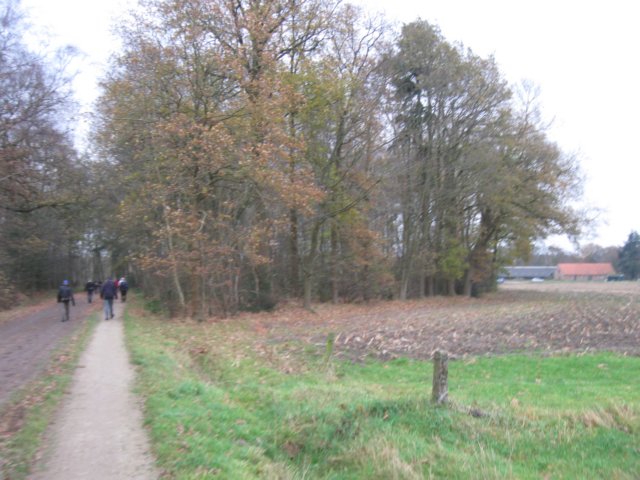 img_6137.jpg