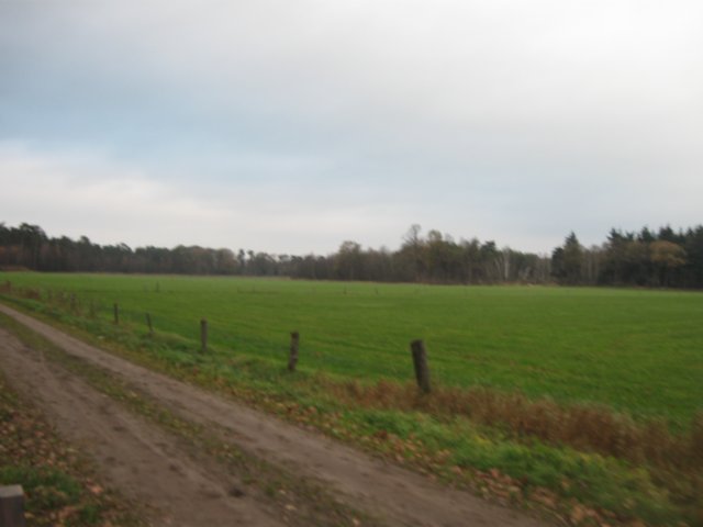 img_6138.jpg