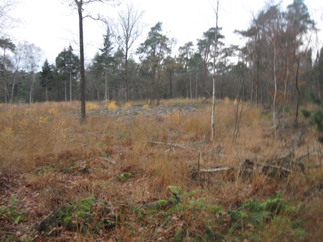 img_6140.jpg