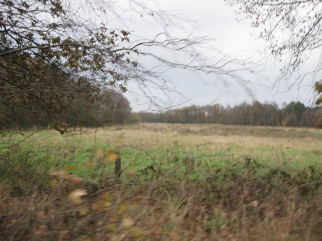 img_6142.jpg