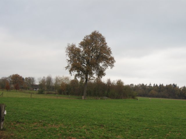 img_6144.jpg