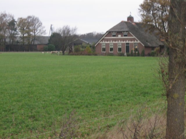 img_6145.jpg