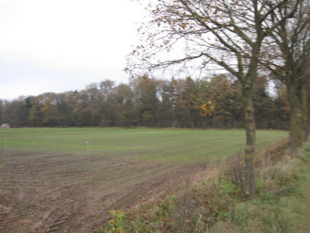 img_6146.jpg