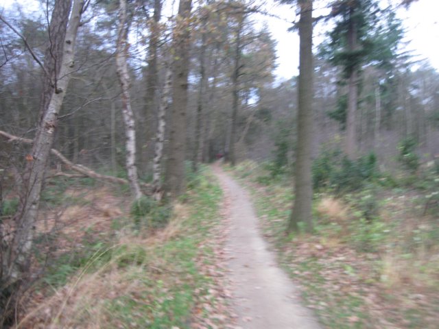 img_6149.jpg
