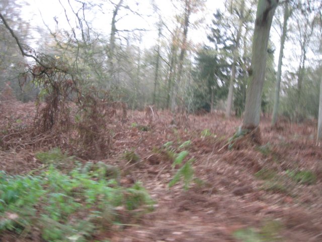 img_6155.jpg