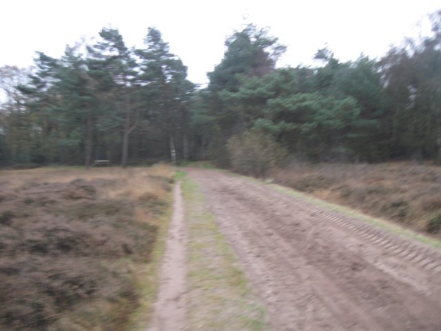 img_6163.jpg