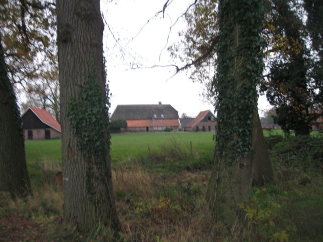 img_6165.jpg