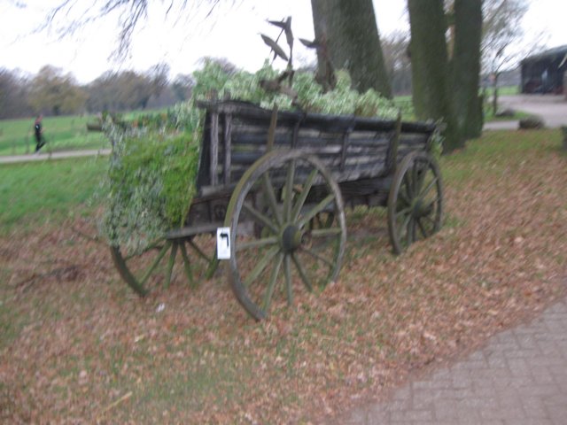 img_6166.jpg