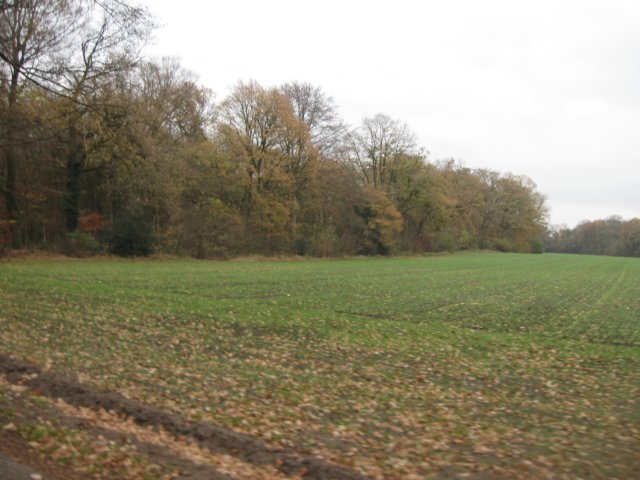 img_6173.jpg
