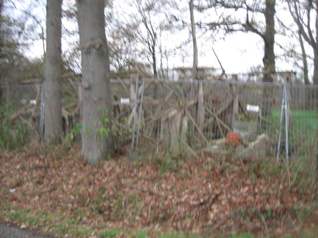 img_6181.jpg