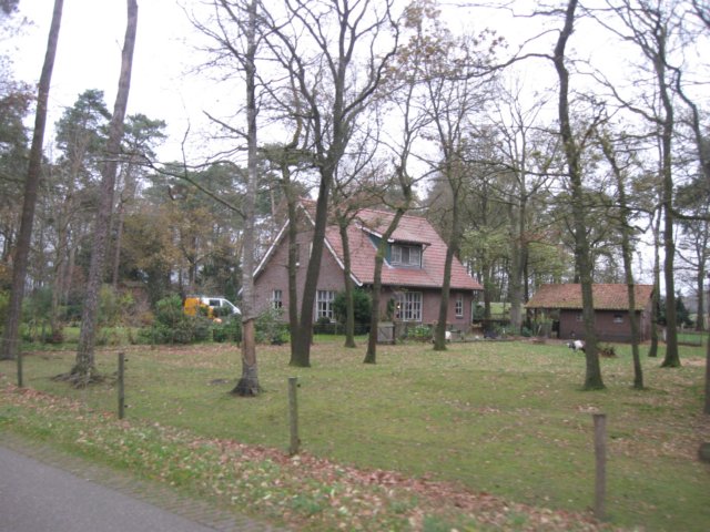 img_6184.jpg
