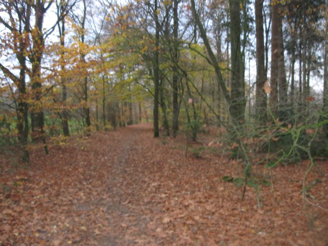 img_6188.jpg