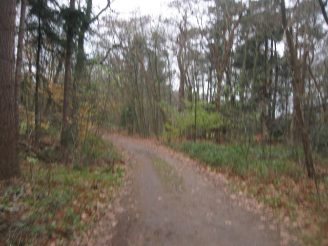 img_6192.jpg