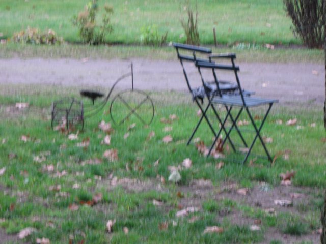 img_6193.jpg
