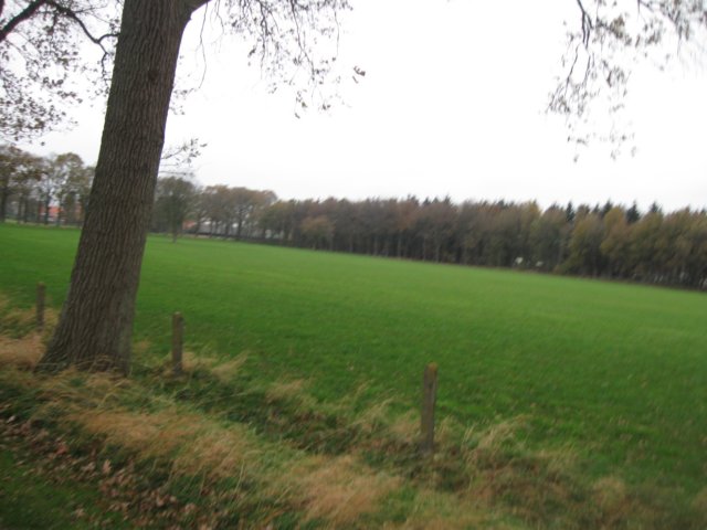 img_6195.jpg