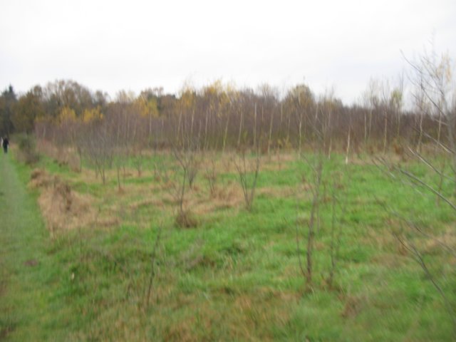 img_6199.jpg