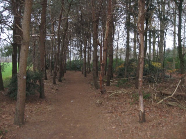 img_6210.jpg