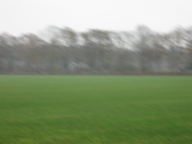 img_6215.jpg