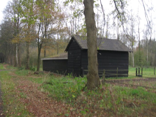 img_6219.jpg