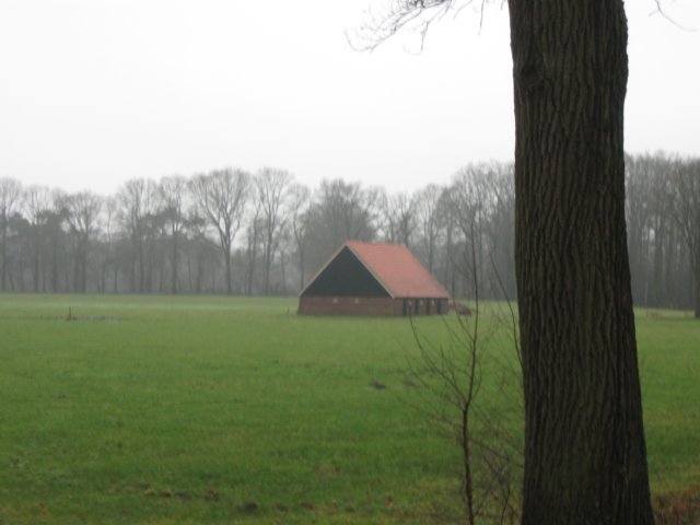 img_6628.jpg