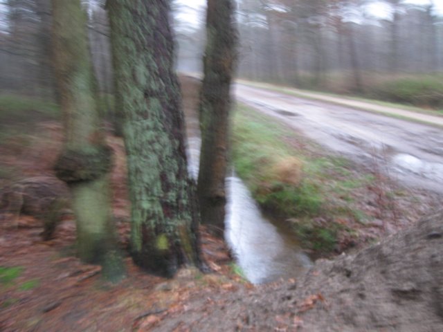 img_6634.jpg
